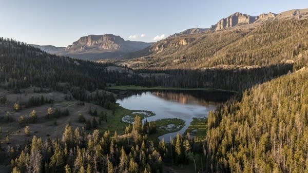What happens when states manage public land?